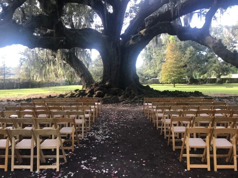 Natural Wood Chairs | Tree of Life | New Orleans Wedding