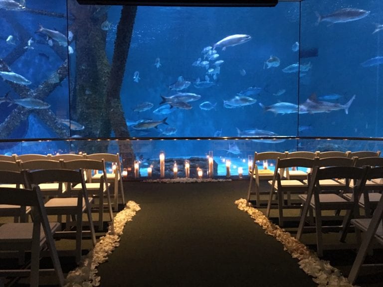 Audubon Aquarium Wedding | New Orleans